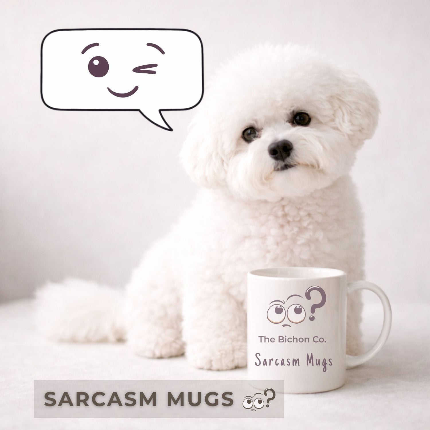 Sarcasm Mugs